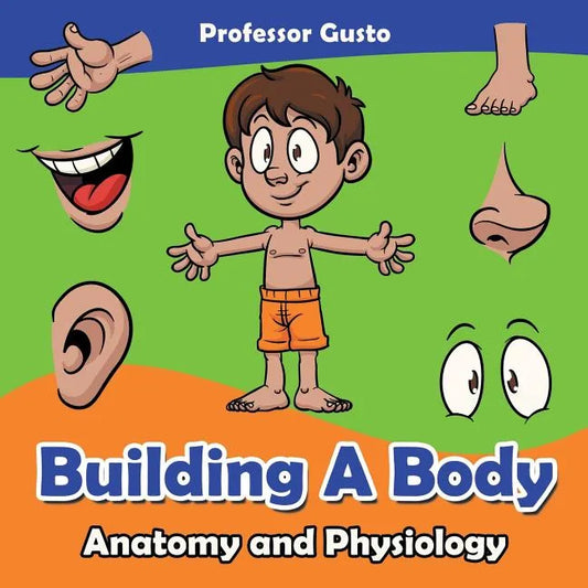Building a Body Anatomy and Physiology - Paperback
