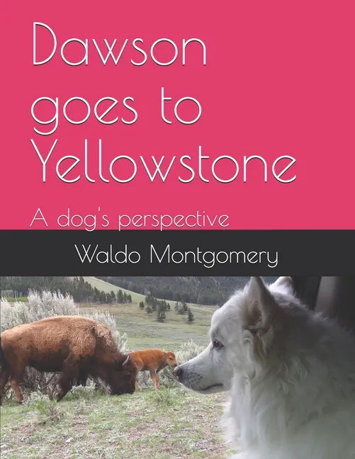 Dawson goes to Yellowstone - Paperback