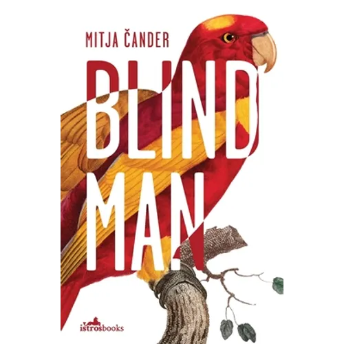 Blind Man - Paperback
