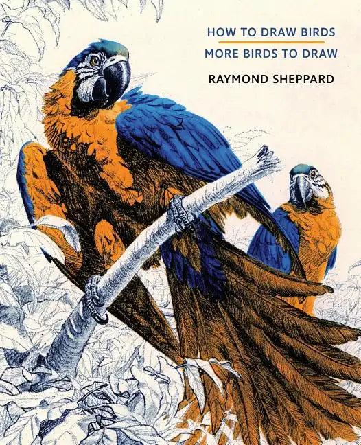 How to Draw Birds / More Birds to Draw - Paperback