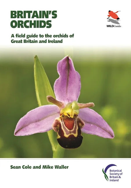 Britain's Orchids: A Field Guide to the Orchids of Great Britain and Ireland - Paperback