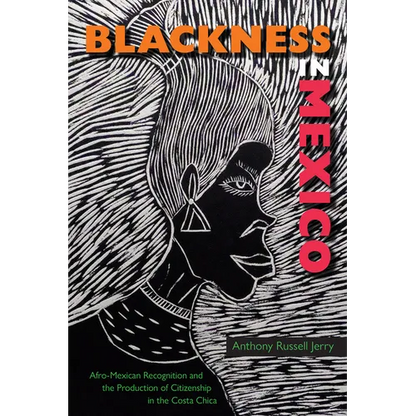 Blackness in Mexico: Afro-Mexican Recognition and the Production of Citizenship in the Costa Chica - Hardcover